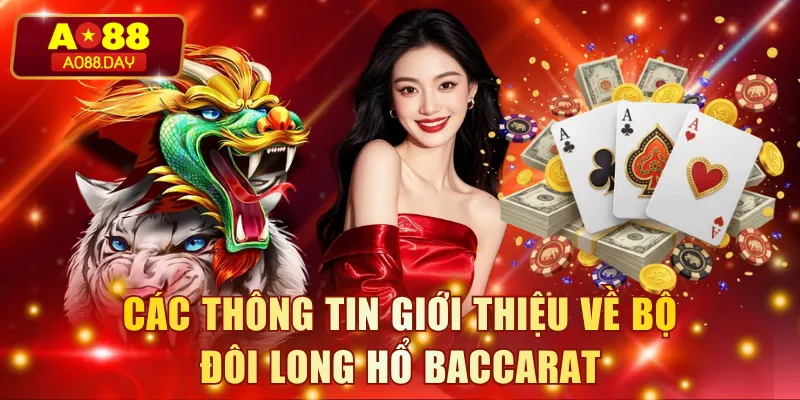 Các thông tin giới thiệu về bộ đôi Long Hổ Baccarat