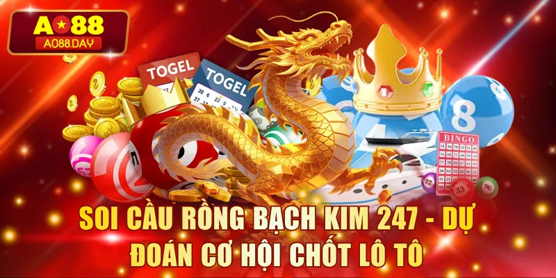 Soi Cầu Rồng Bạch Kim 247